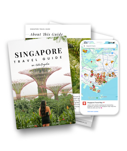 Singapore Travel Guide + Map