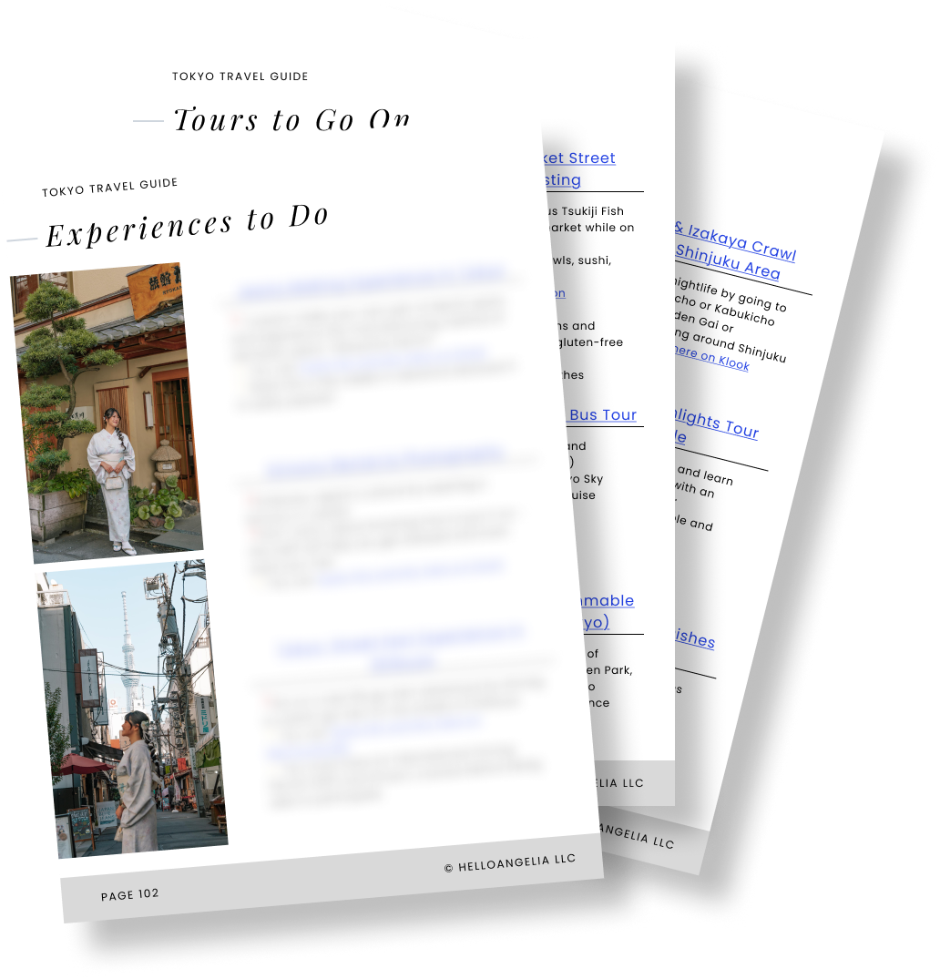 Tokyo Travel Guide + Map