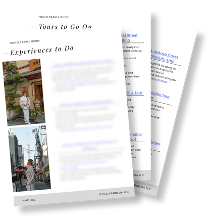 Tokyo Travel Guide + Map