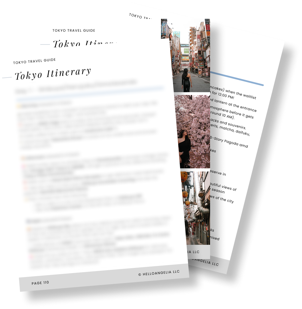 Tokyo Travel Guide + Map