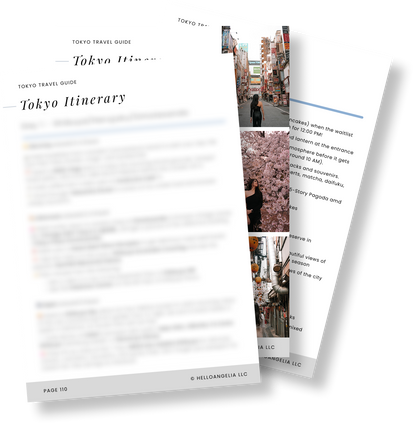 Tokyo Travel Guide + Map