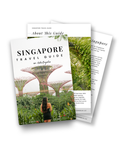 Singapore Travel Guide